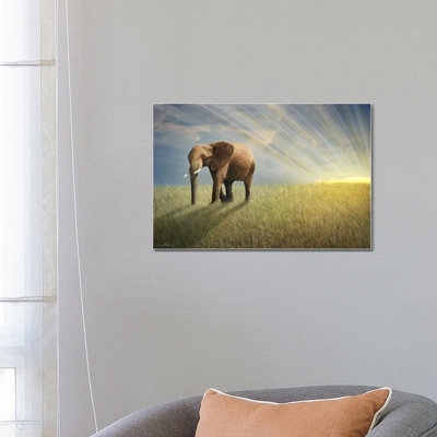 Walk With The Light by Ben Heine - Wrapped Canvas Painting