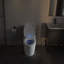 Lumiére Elongated Toilet Seat