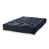Indigo est en rupture de stock