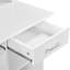 Computer Desk-250612523