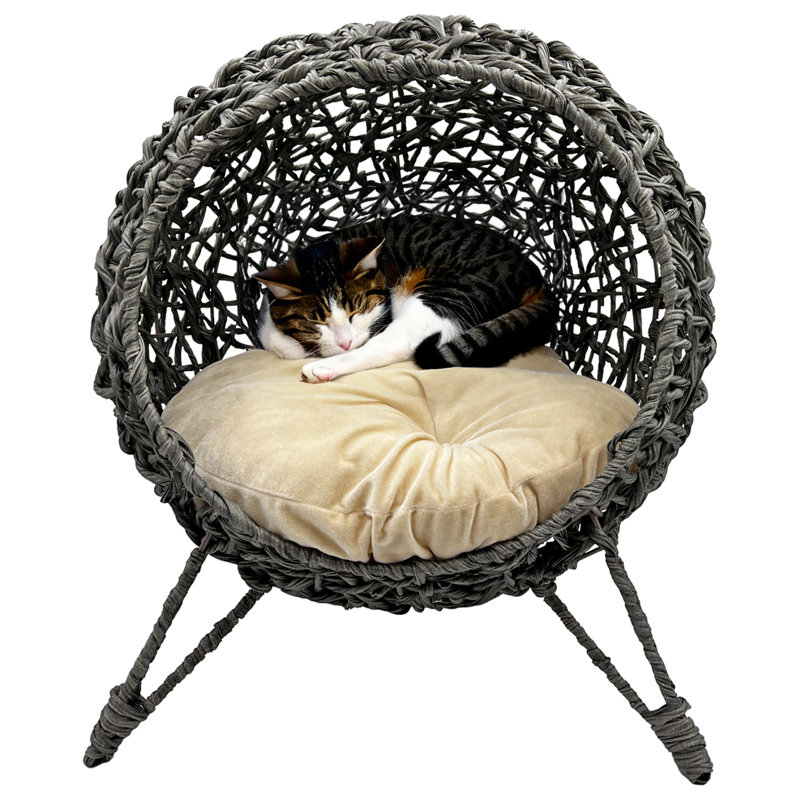 Lit surélevé pour animal de compagnie, Gris