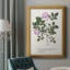 Nature imprimée Botanicals X, toile encadrée de qualité supérieure - prête à être accrochée-602561792