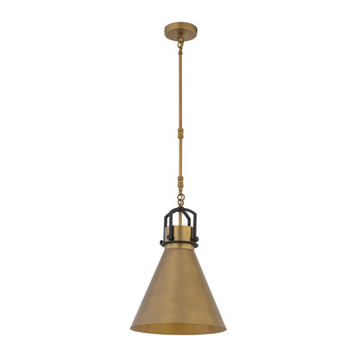 Luminaire suspendu 1 lumière Fenric 13,75 po