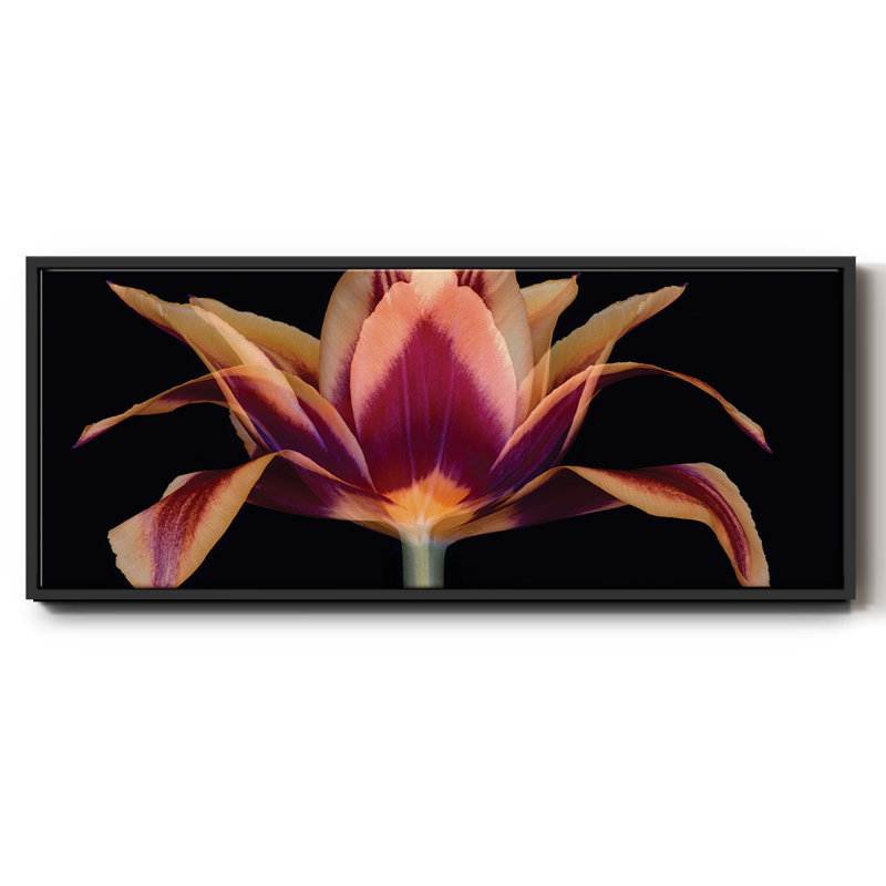Red Tulip- Framed Canvas, 12" H x 30" W
