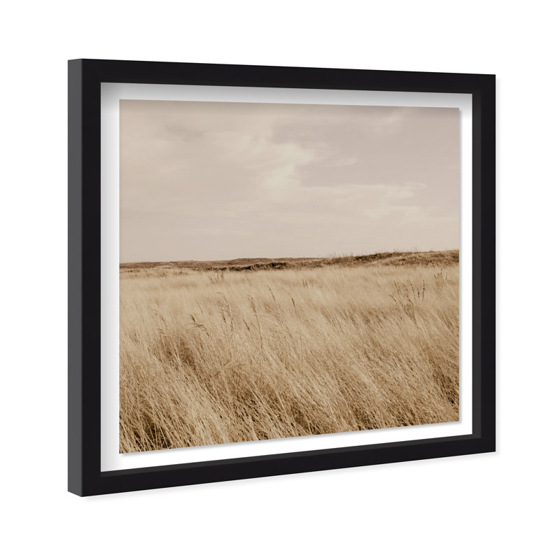 Golden Nature Print by Oliver Gal, 21.5"H x 21.5"W, Black Shadowbox