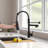 HGN 2 Spouts Kitchen Faucet  with Pull Out -100477274