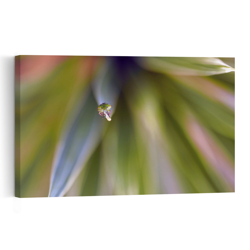 Affiche murale abstraite contemporaine et détaillée représentant un insecte vert, une plante au style naturel vibrant.