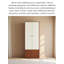 Armoire de rangement style buis Style