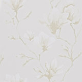 Lotus Wallpaper