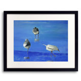 Feeding Time Print by Phyllis Adams