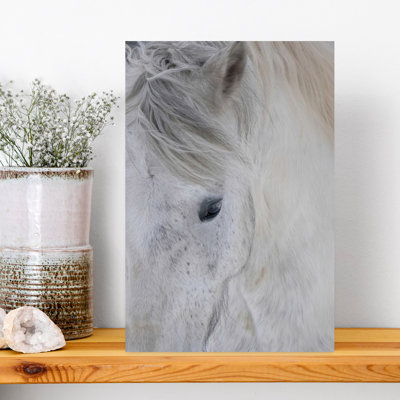 Art contemporain abstrait cheval blanc