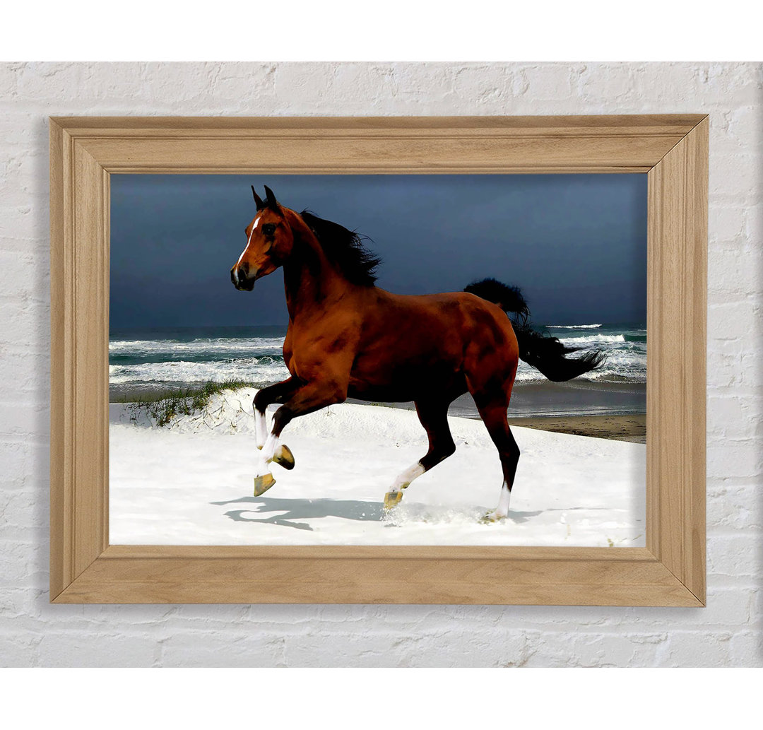 Ocean Horse Beauty - Bilderrahmen Kunstdrucke