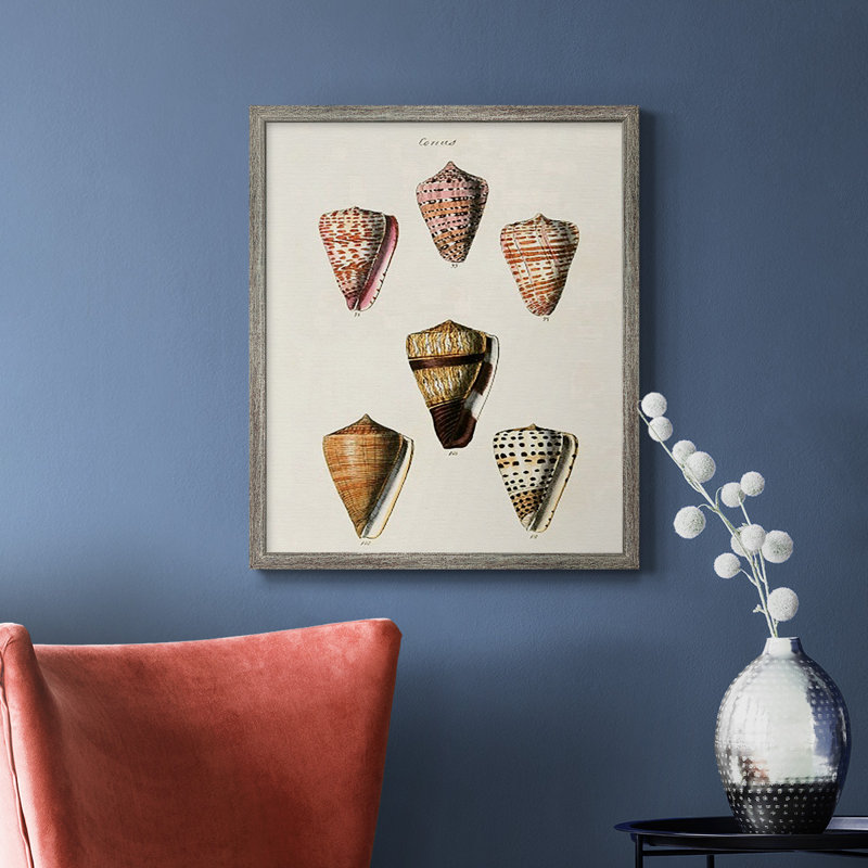 Toile encadrée de qualité supérieure Cone Shell Collection IV - prête à être accrochée, Argent patiné, H 24 po x l 20 po