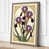 Taupe Border