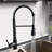 SHAMANDA Pull Down Kitchen Faucet