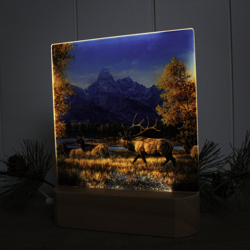 Veilleuse à DEL Teton Range