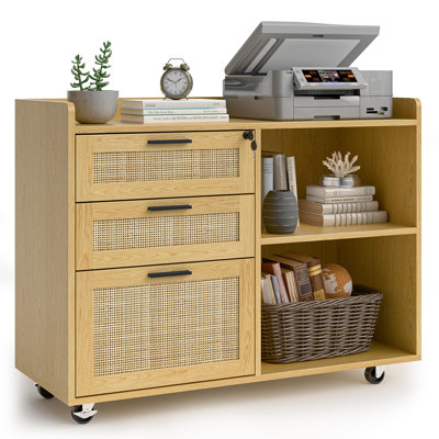 3 Rattan Drawer Lateralfile Cabinets With Lock by Bay Isle Home