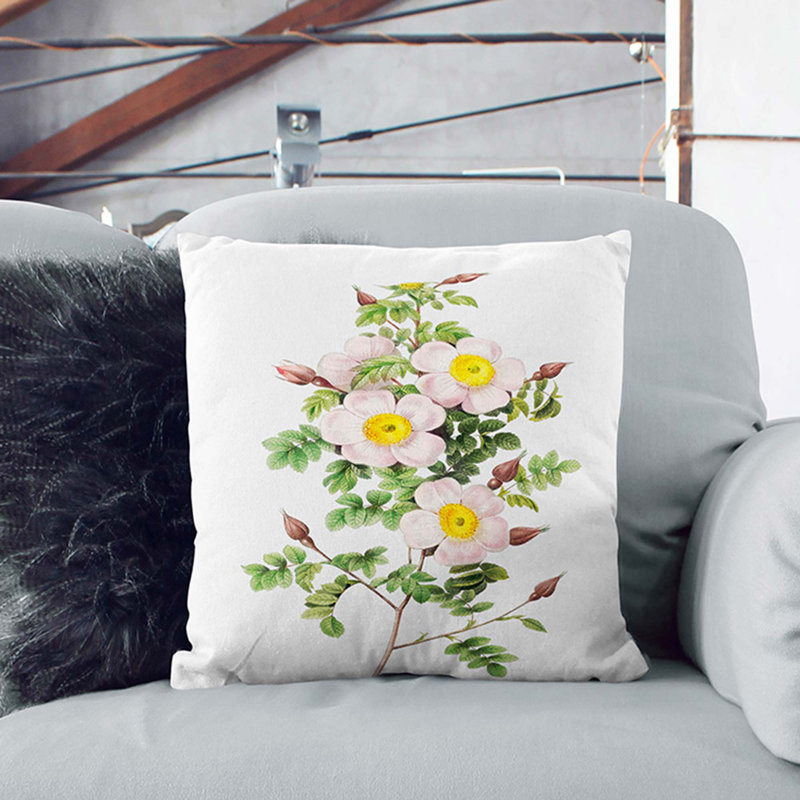 Burnet Rose In Pink Square Throw Cushion, Black, 40cm H x 40cm W x 15cm D
