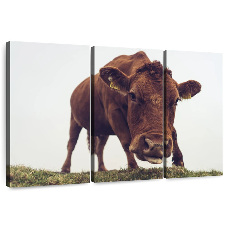 Brampt Chocolate Cow Face, 48" H x 74" W