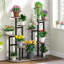 Plant Stand-1873477803