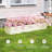 Sairah Metal Raised Garden Bed-172238299-172238304