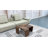 Black Walnut Square Coffee Table Modern Geometric Small Side Table