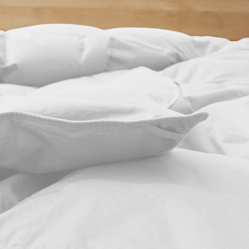 All Season Cotton Down Comforter/Duvet Insert, King Comforter, White