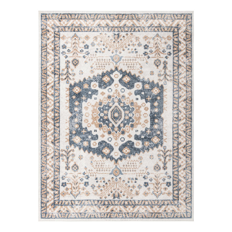 Bracamonte Oriental Indoor Rug, Rectangle 9' x 12'
