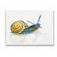 «Snail using tuba masque», art mural par Jennifer Redstreake-1874133961