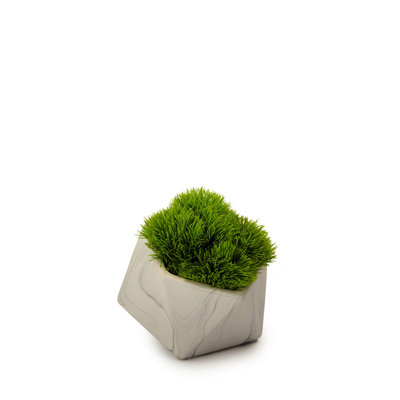 Plante grasse artificielle en pot