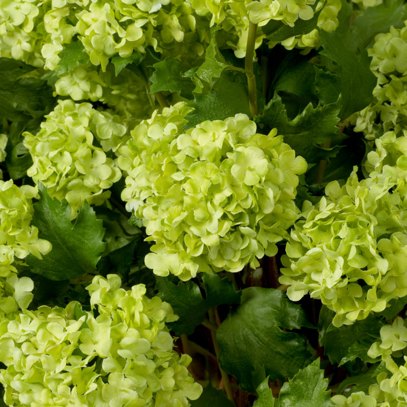 Faux Floral Arrangement in Vase, Green