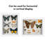 Delcastillo Shadowbox 1.5” Deep Box Frame for Objects with Glass Front-252754821-252754820