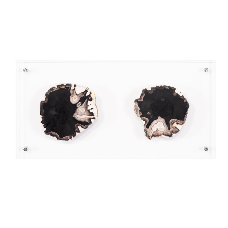 Floating Petrified Double Slice Wall Décor