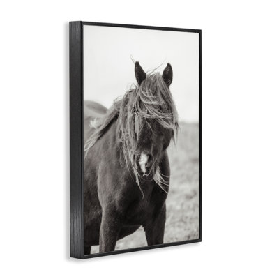 Wild Pony With Windy Mane Framed Giclee Art, Design By Deborah Revell