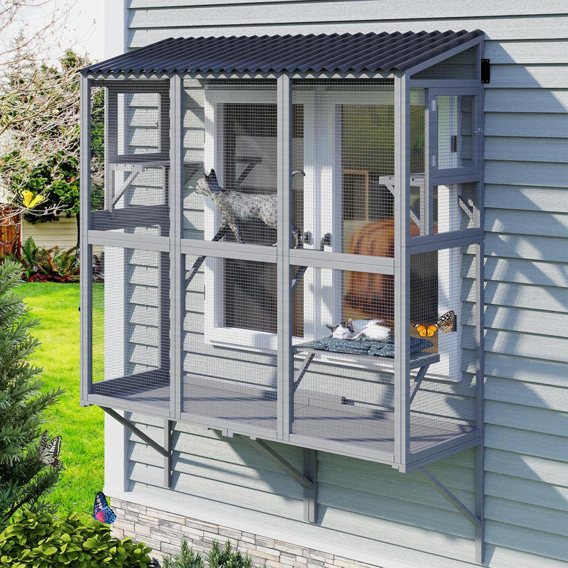 Cat Catio, boîte de fenêtre extensible pour plusieurs chats d'intérieur