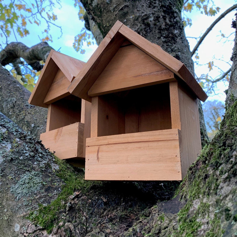 Large Wooden Robin Mounted Bird House