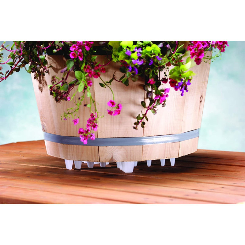 Clear Adjustable 16-Inch Plant Stand for Indoor and Outdoor Use