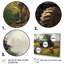 Children On The Farm V, reproduction d'art sur toile-88550117-88550123