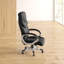 Ellis Executive Chair-26251169