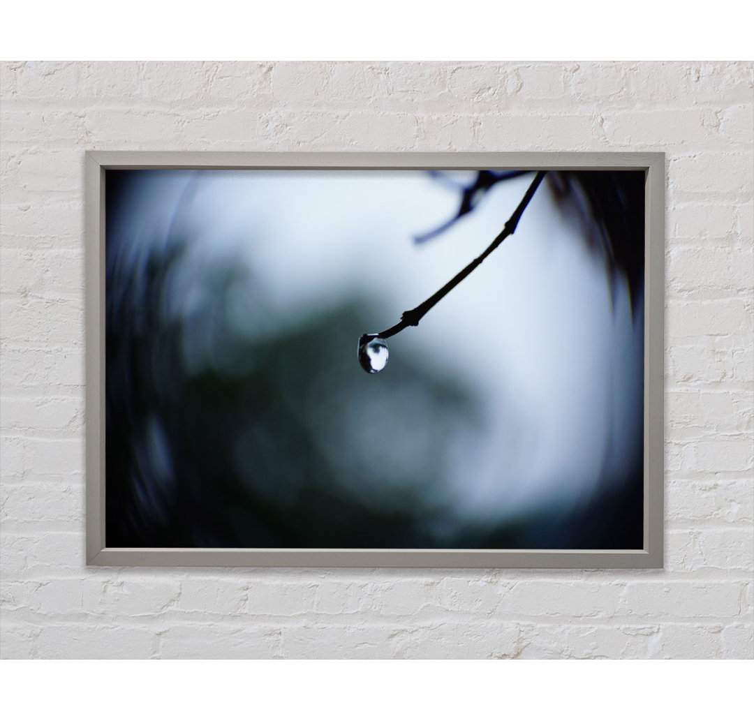 Singele Droplet On A Twig - Einzelner Bilderrahmen Kunstdrucke auf Leinwand