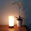 Alasan Lamp