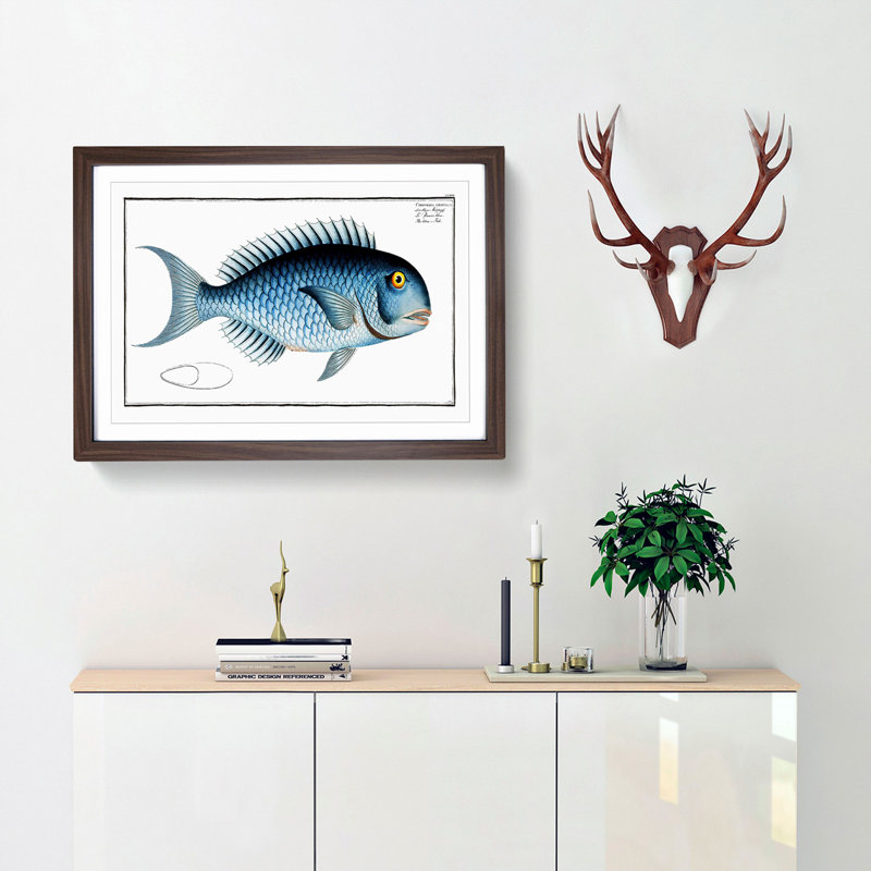 Blue Fish by M.E. Bloch - Framed Print, 27cm H x 36cm W x 2cm D, Walnut Framed