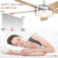 Ventilateur de plafond 52 po moderne avec lumières et télécommande, ventilateur de plafond chromé avec pales réversibles-870112312-870112313