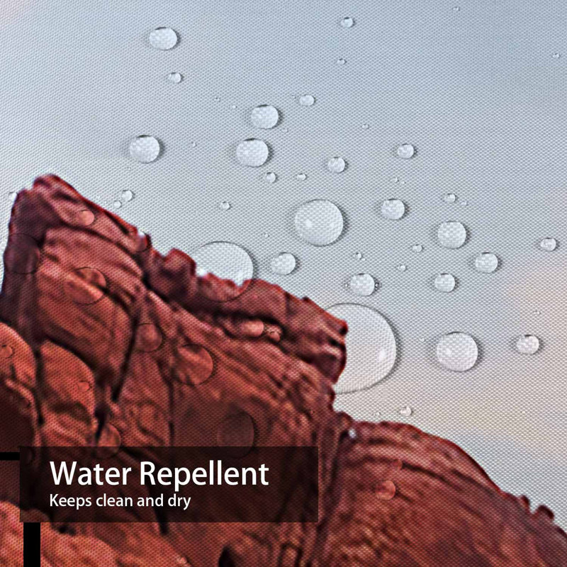 Rideau de douche Red Rock Canyon Valley Desert, L 72 po x l 84 po