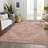 Machine Washable Indoor/Outdoor Chayden ACN1104 Coral Rug-100136611