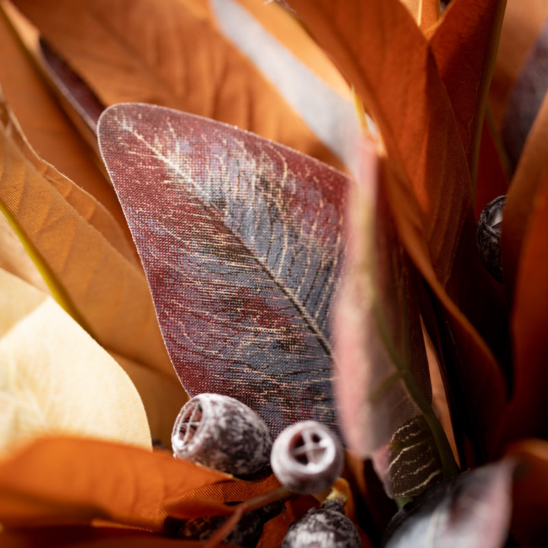 Eucalyptus Bush