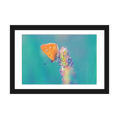« small wonders », reproduction de photo sur toile