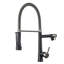 Belfry Kitchen Keneisha Pull Down Kitchen Faucet