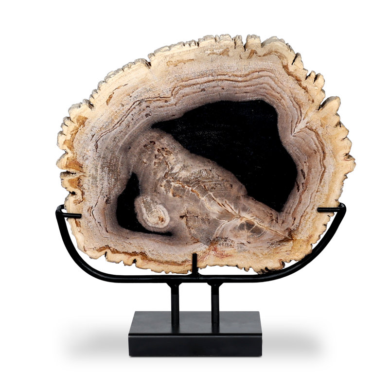 Petrified Decorative Object