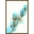 Image Brush Gel selected